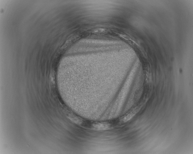 X0000073730561200608311848