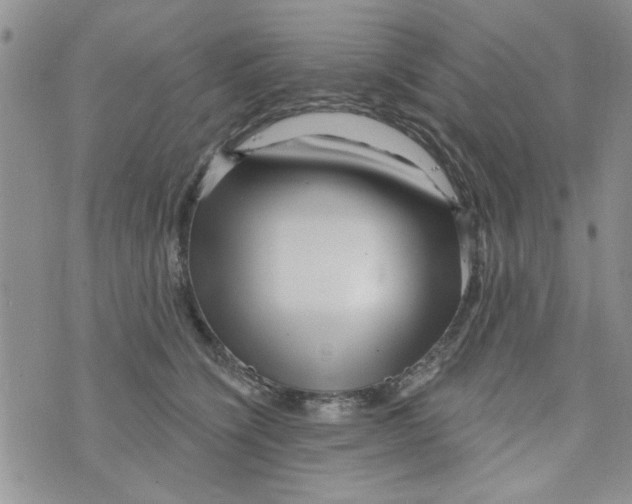 X0000073730564200608311848