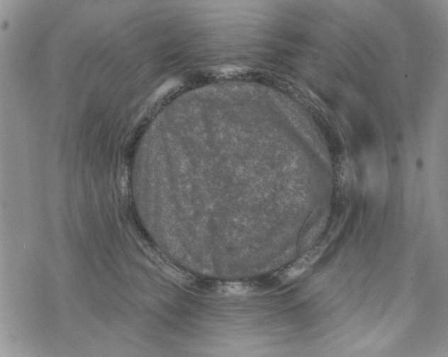 X0000073730565200608311848