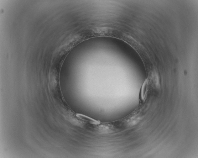 X0000073730566200608311848