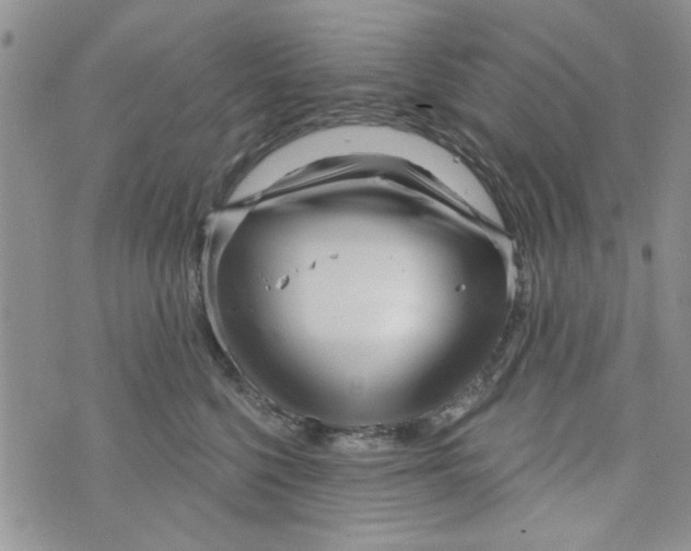 X0000073730568200608311848