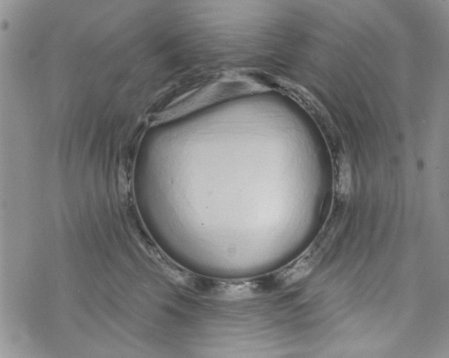 X0000073730569200608311848