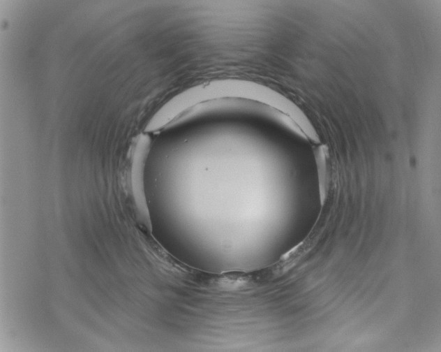 X0000073730570200608311848