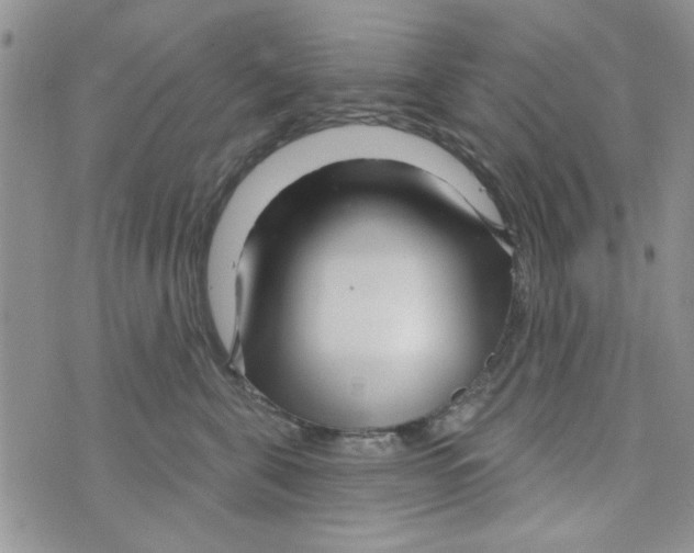 X0000073730571200608311848