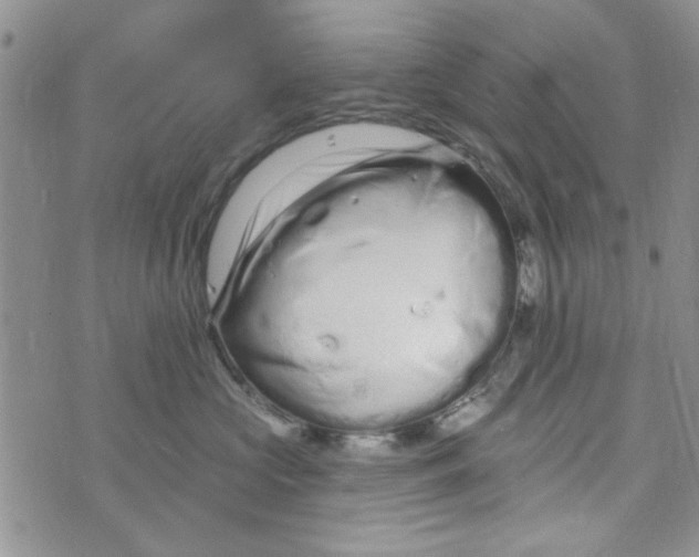 X0000073730573200608311848