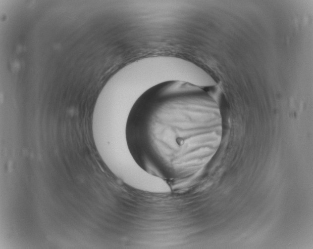 X0000073730576200608311848