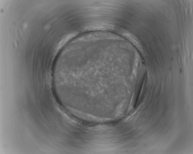 X0000073730578200608311847