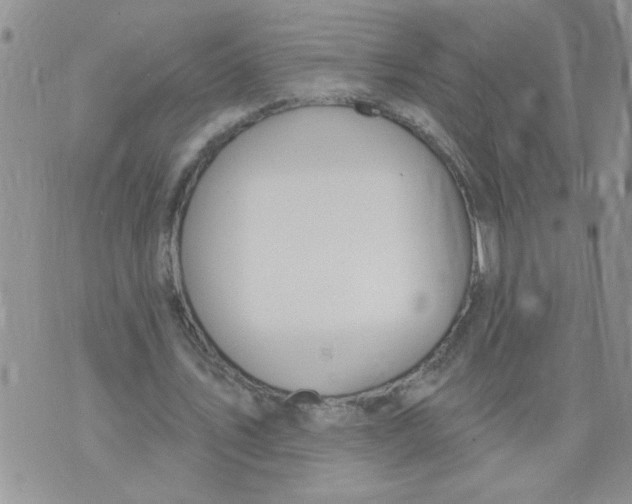 X0000073730579200608311847