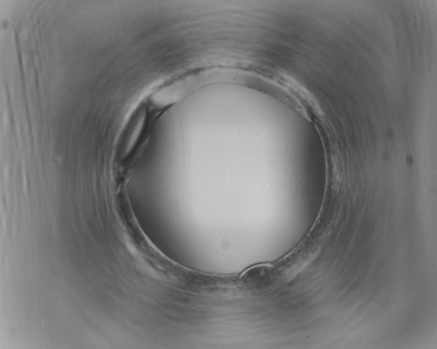 X0000073730580200608311847