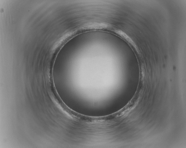 X0000073730581200608311847