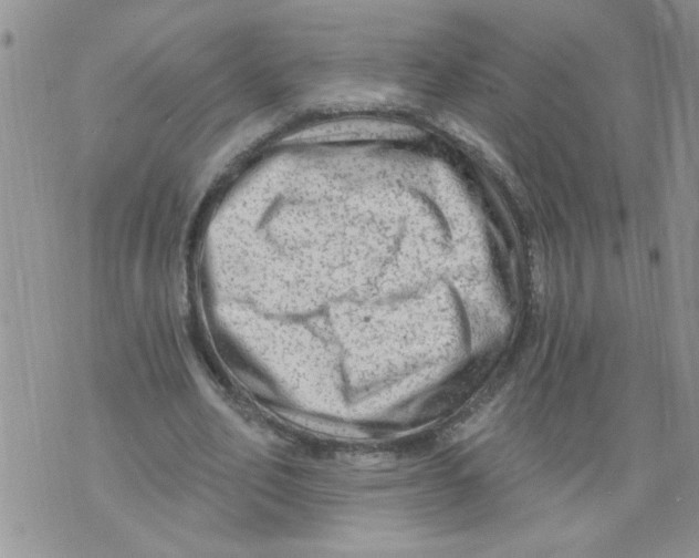 X0000073730582200608311847