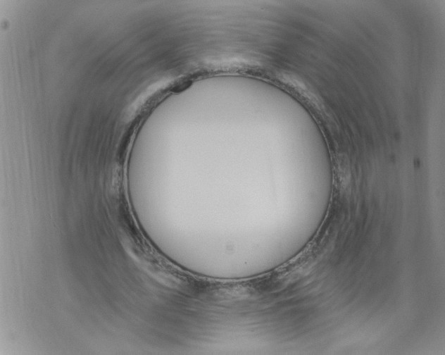 X0000073730583200608311847