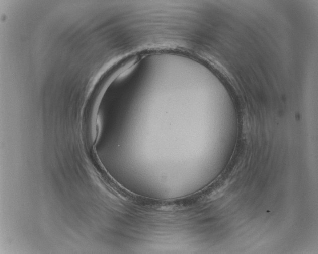 X0000073730584200608311847