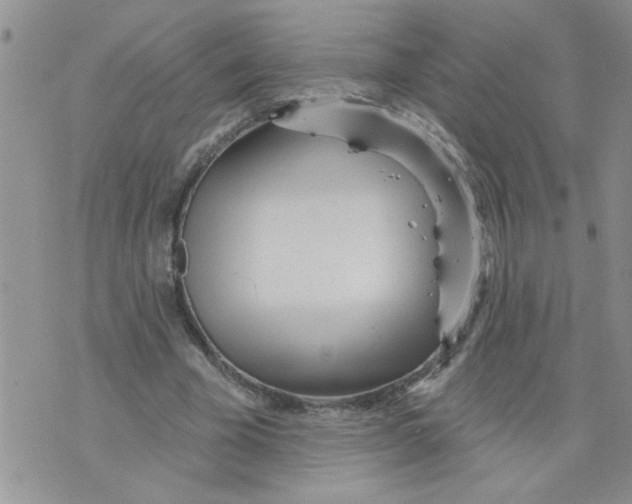 X0000073730585200608311847