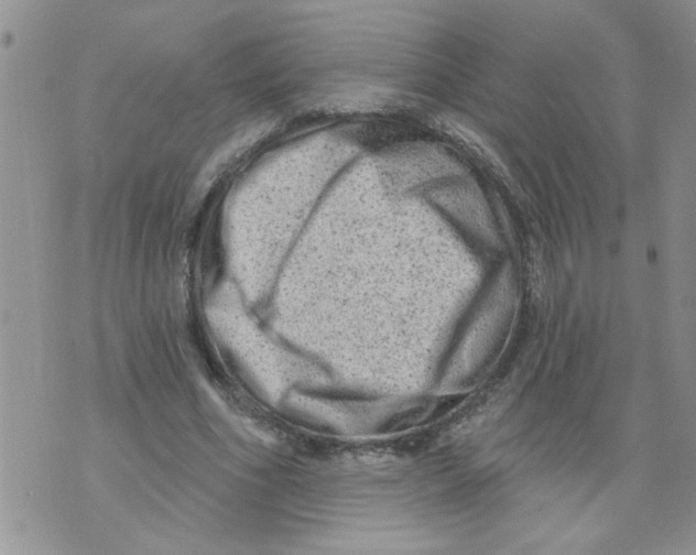 X0000073730586200608311847