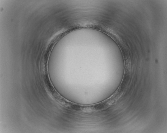 X0000073730587200608311847