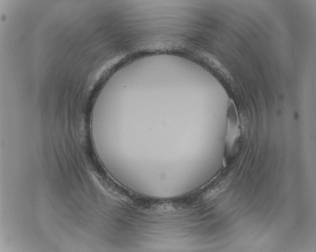 X0000073730588200608311847