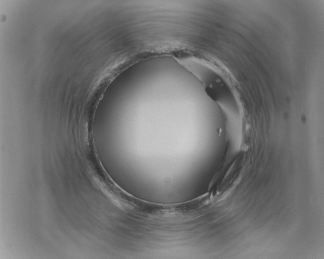 X0000073730589200608311847