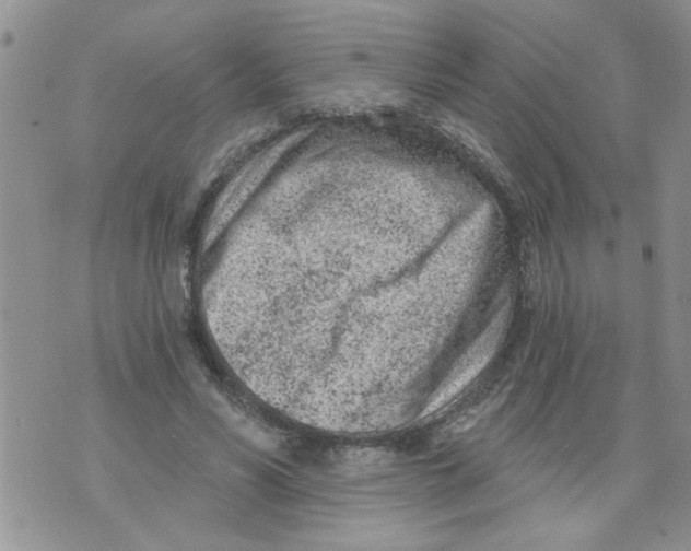 X0000073730590200608311847