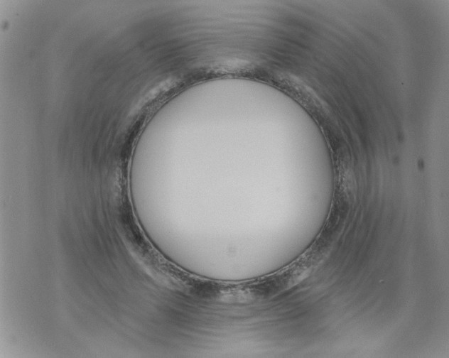 X0000073730591200608311847