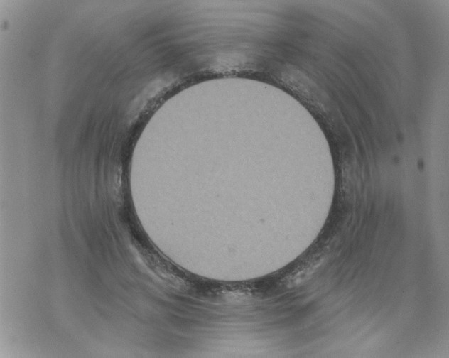 X0000073730592200608311847