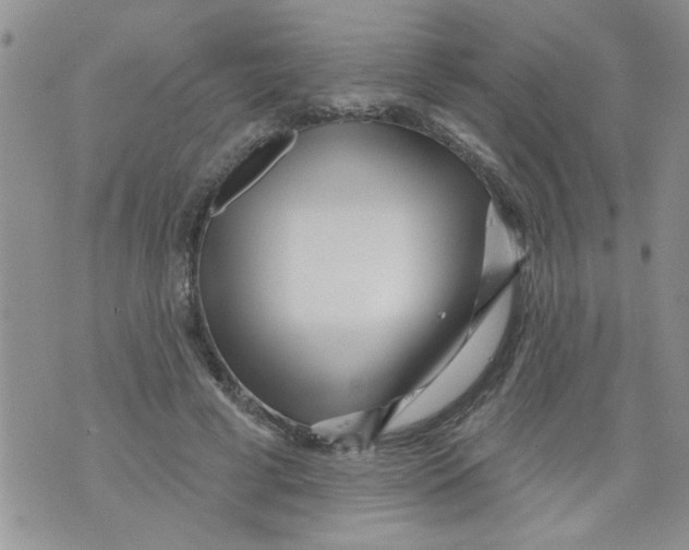 X0000073730593200608311847