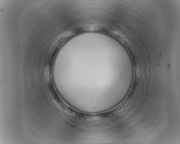 X0000073730594200608311847