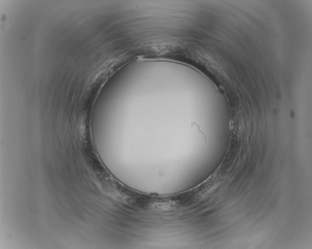 X0000073730595200608311847