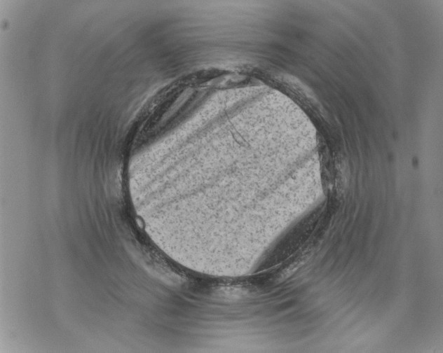 X0000073730596200608311847