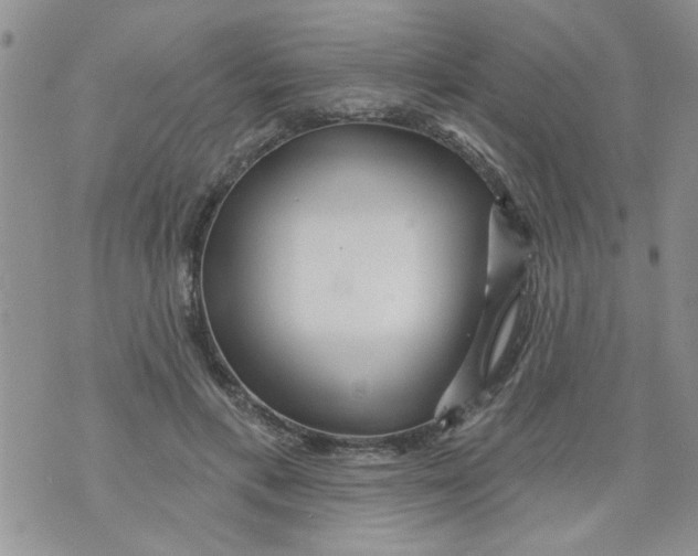 X0000073730597200608311847