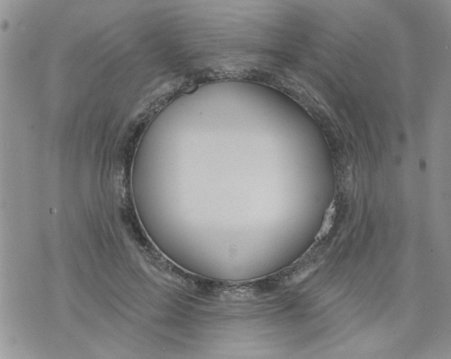 X0000073730599200608311847