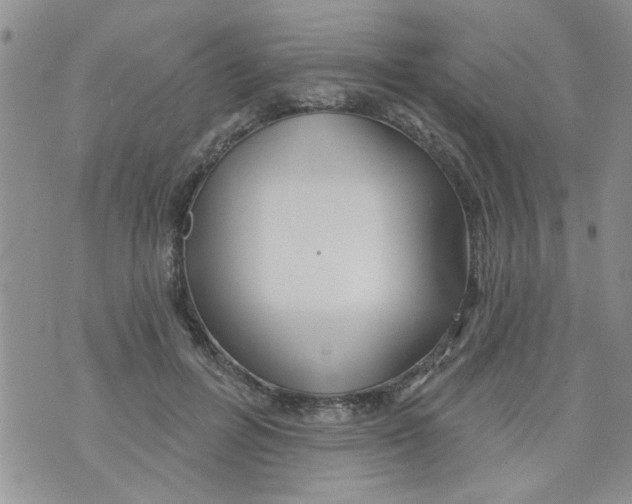 X0000073730600200608311847