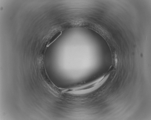 X0000073730601200608311847