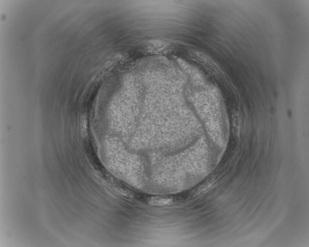 X0000073730602200608311847