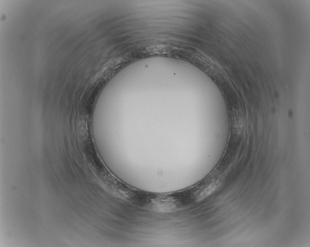 X0000073730603200608311847