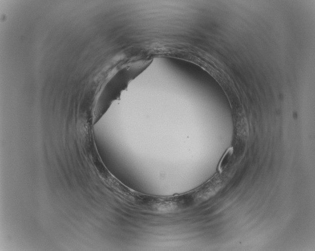 X0000073730604200608311847