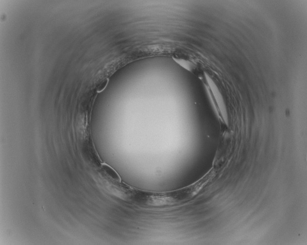 X0000073730605200608311847