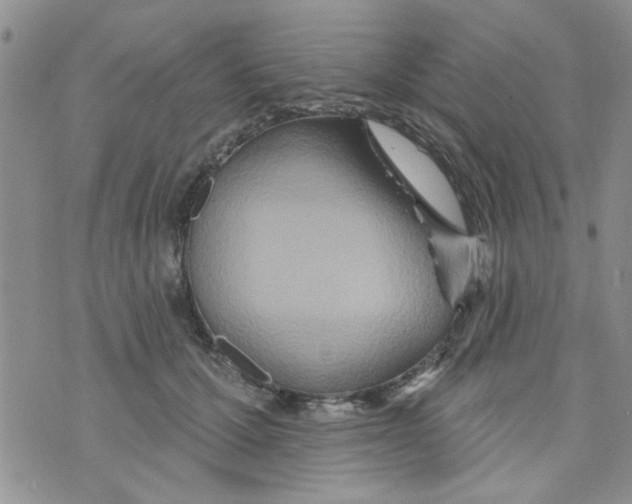 X0000073730607200608311847