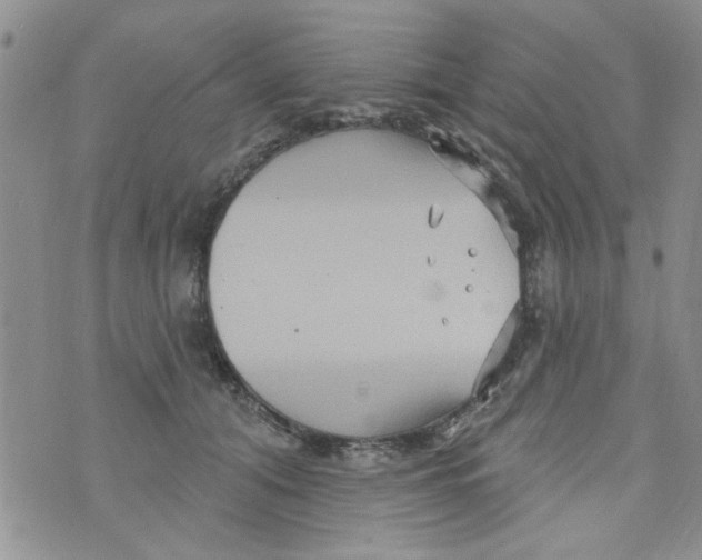 X0000073730608200608311847