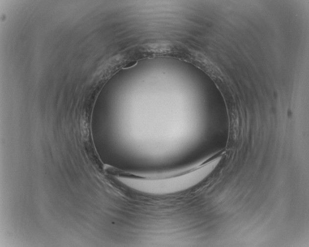 X0000073730609200608311847