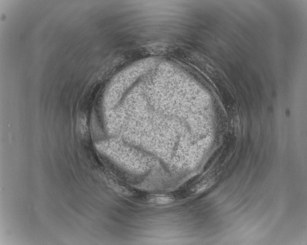 X0000073730610200608311847