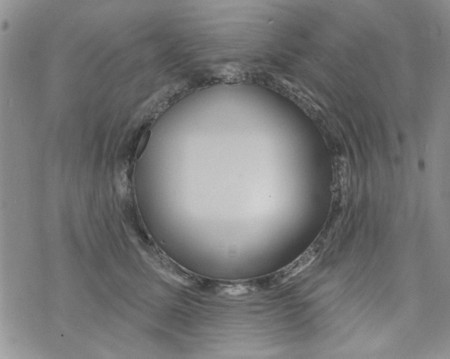 X0000073730611200608311847