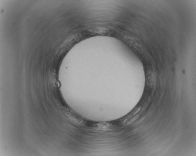 X0000073730612200608311847