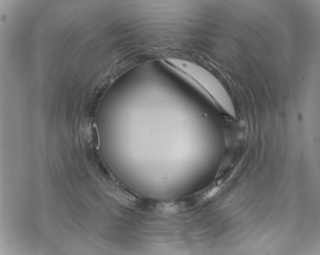 X0000073730613200608311847