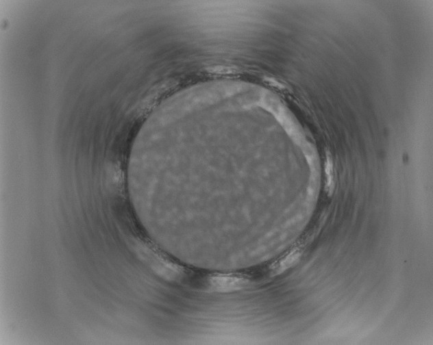 X0000073730614200608311847