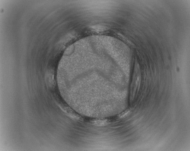 X0000073730615200608311847