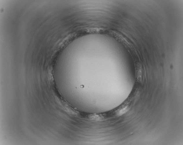 X0000073730616200608311847