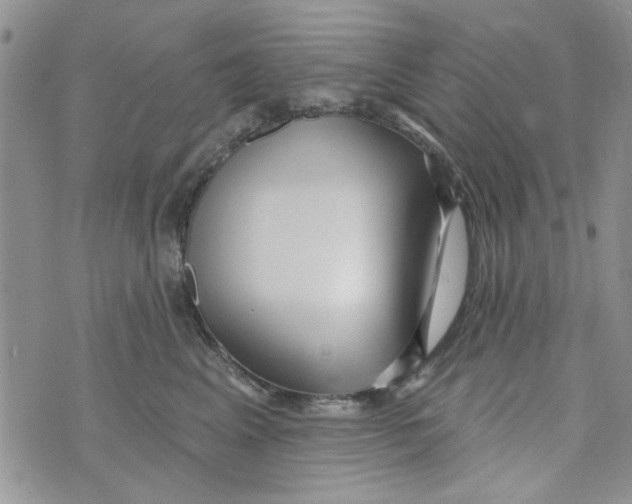 X0000073730617200608311847