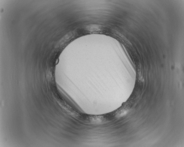 X0000073730618200608311846