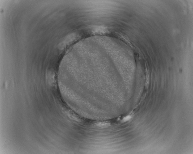 X0000073730619200608311846